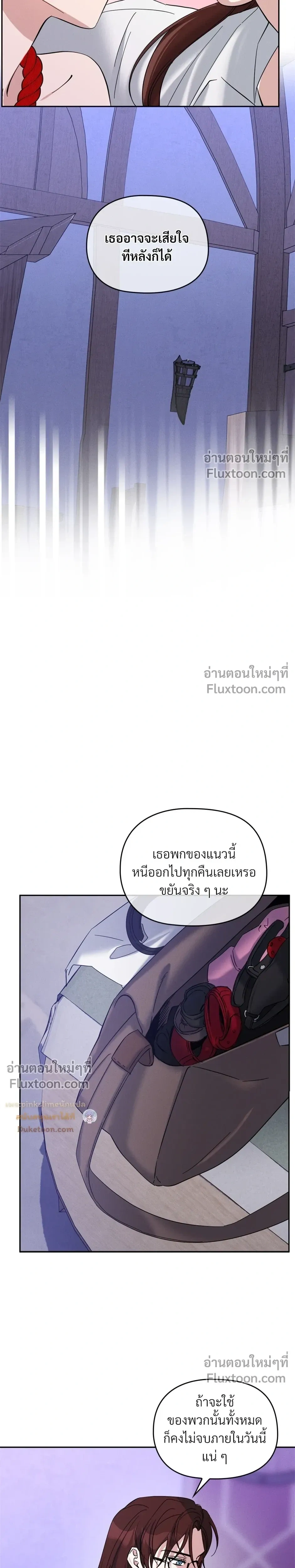 หน้าที่ 13