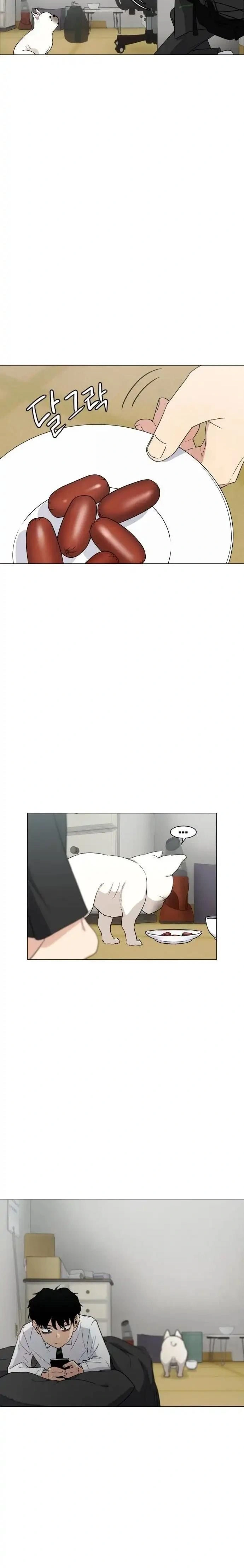 หน้าที่ 51