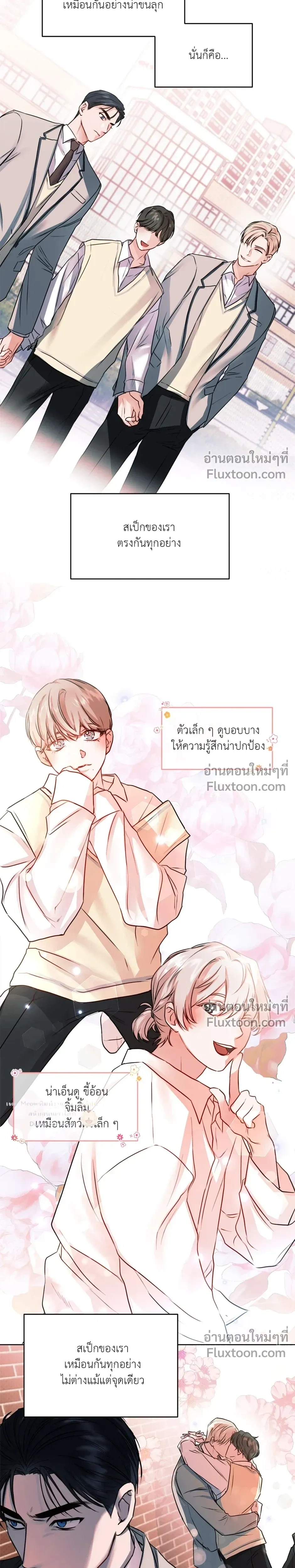 หน้าที่ 13