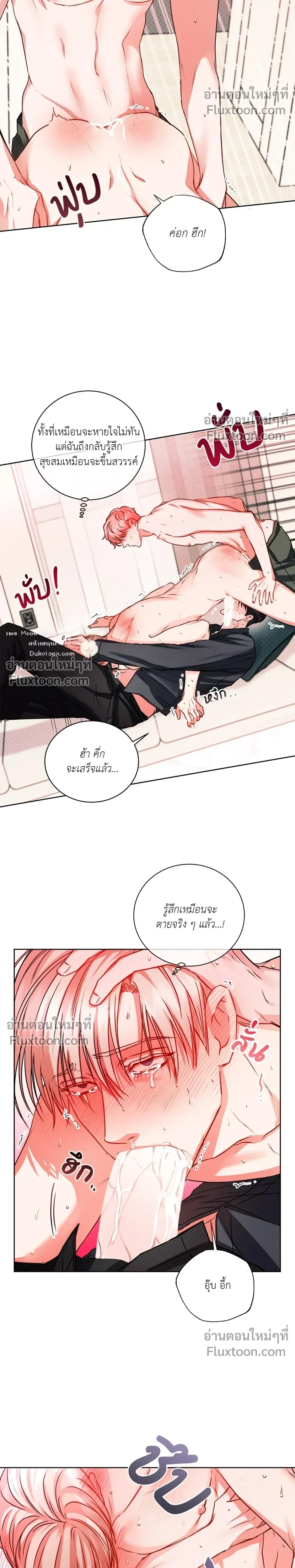 หน้าที่ 11