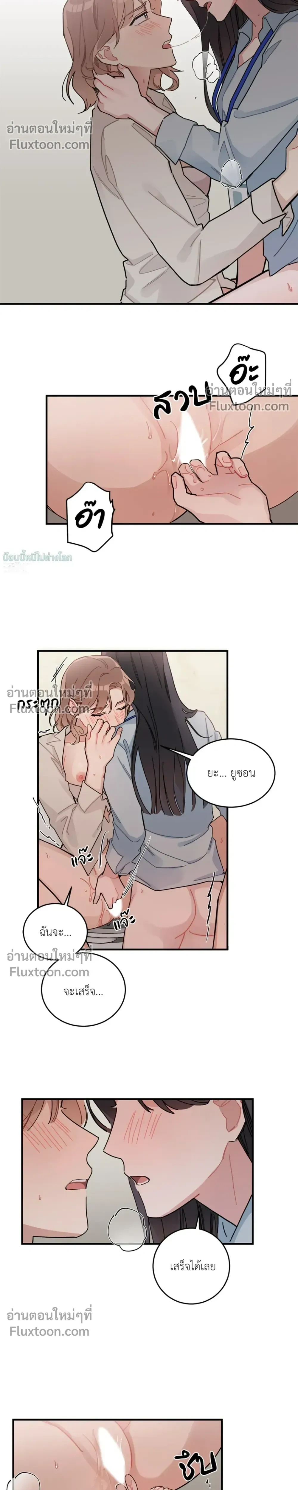 หน้าที่ 17