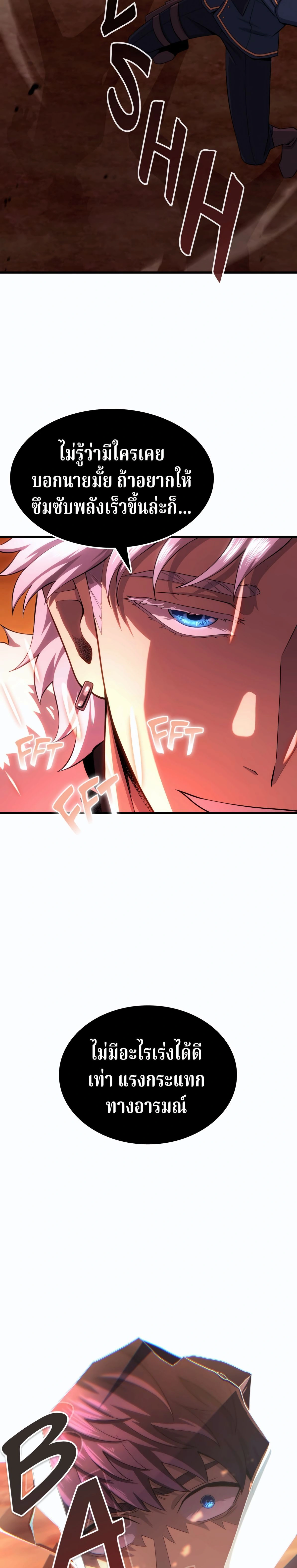 หน้าที่ 29