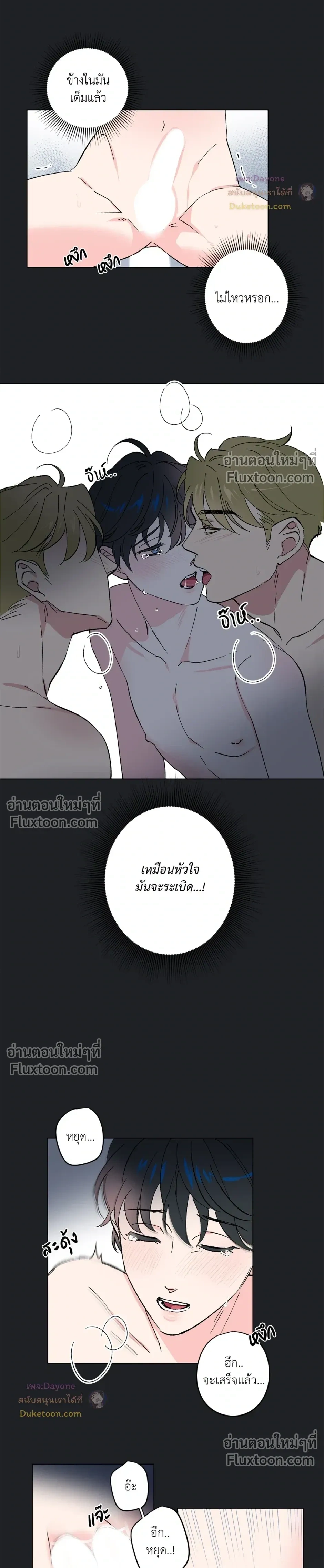 หน้าที่ 15