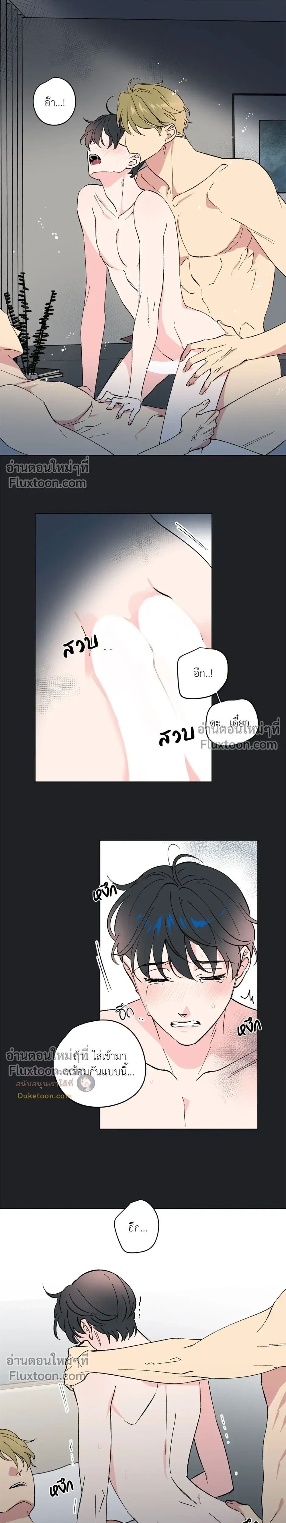 หน้าที่ 13