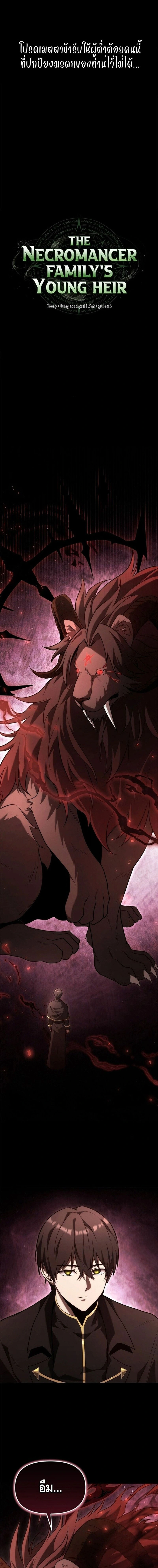 หน้าที่ 13