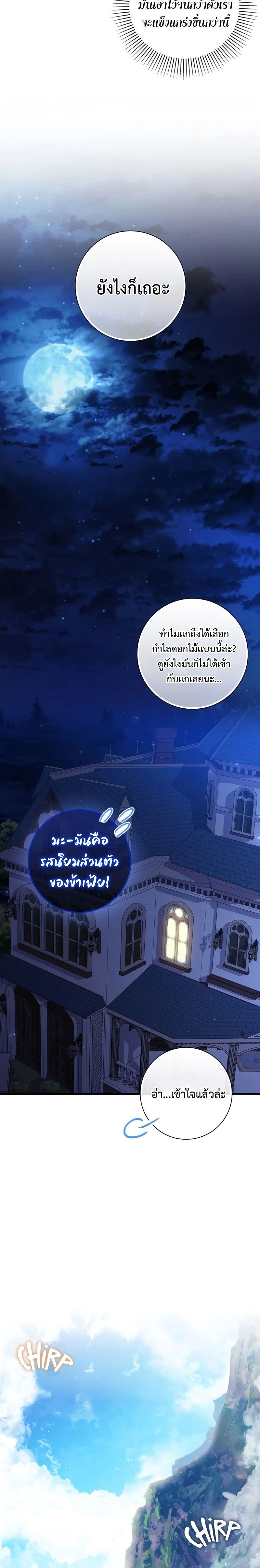 หน้าที่ 28