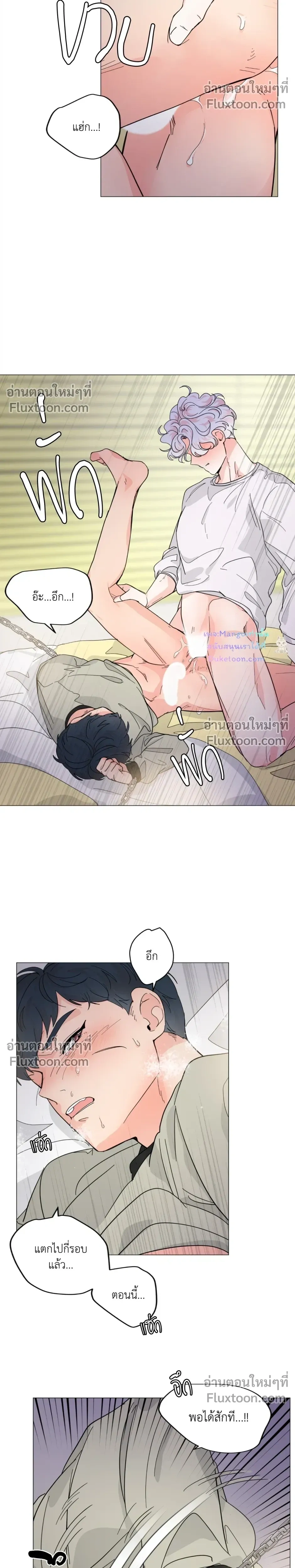 หน้าที่ 17