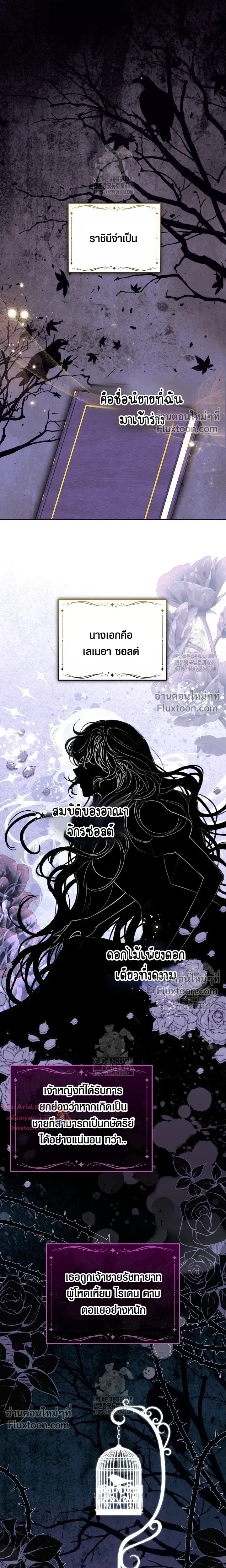 หน้าที่ 13