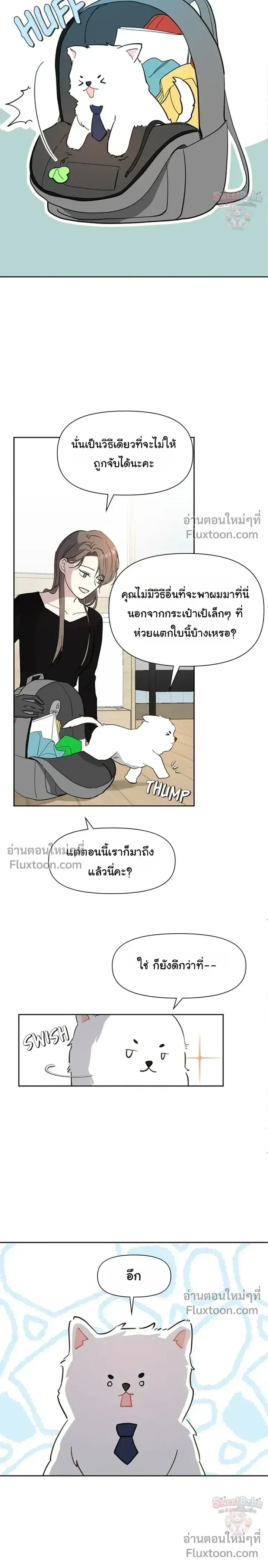 หน้าที่ 21