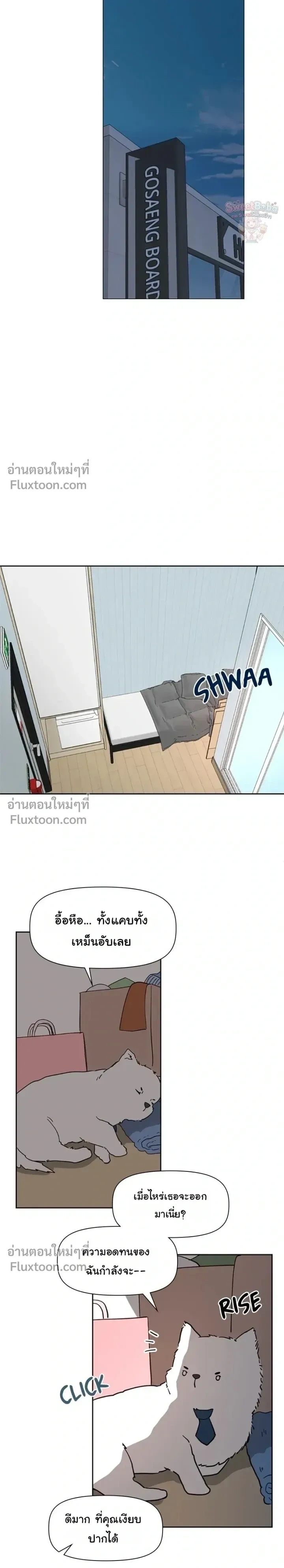 หน้าที่ 12