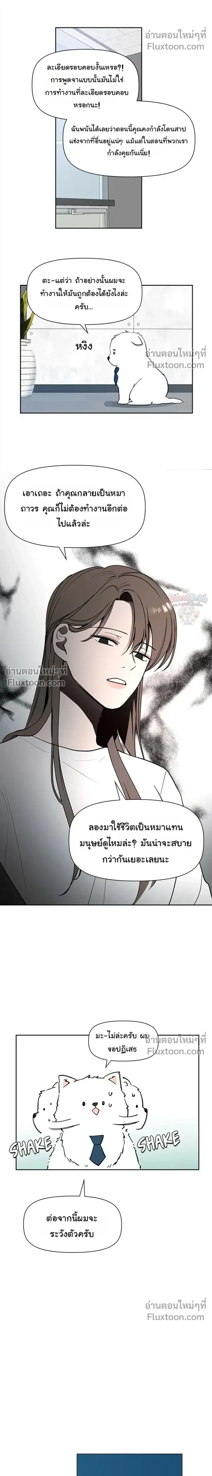 หน้าที่ 11