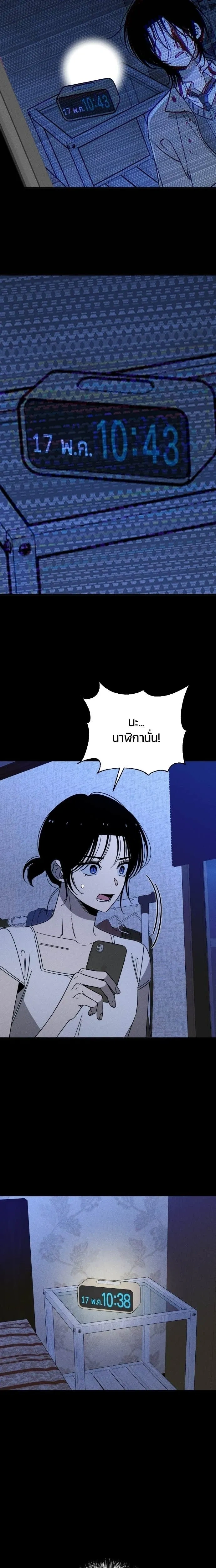 หน้าที่ 11