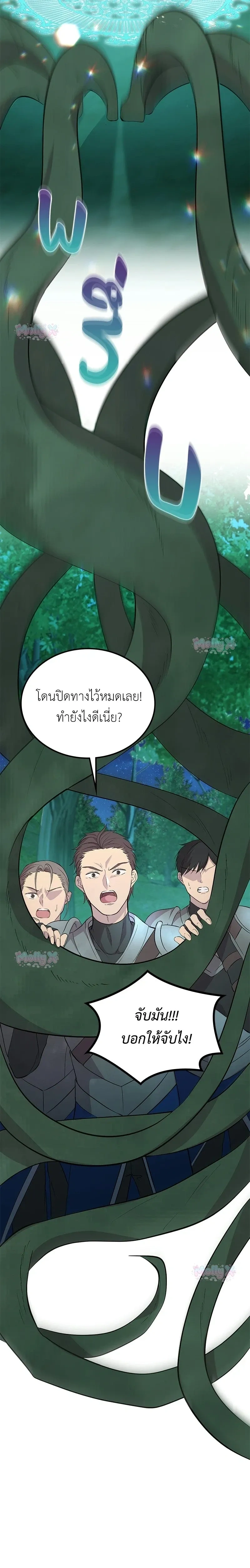 หน้าที่ 31